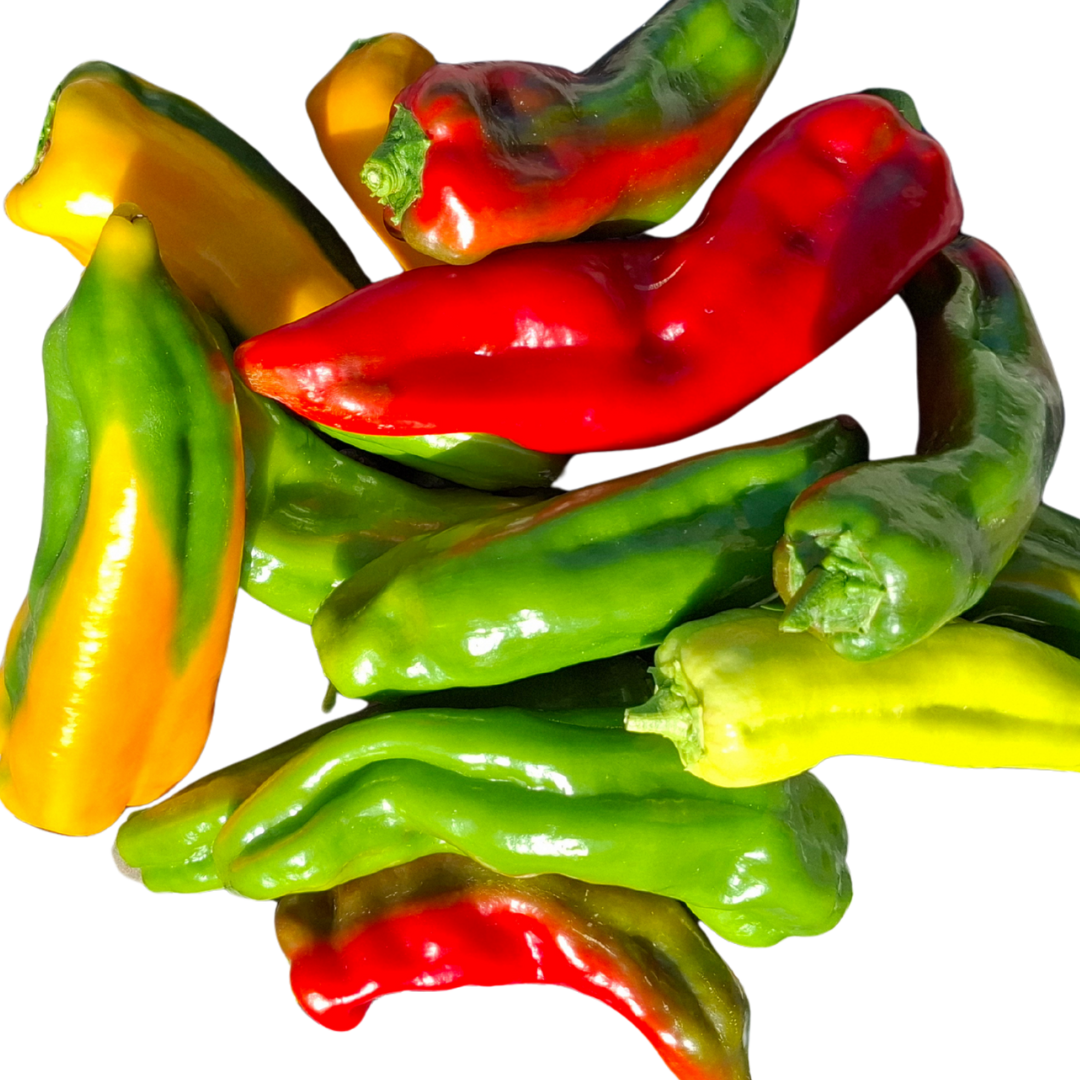 Peperoni corno colori vari