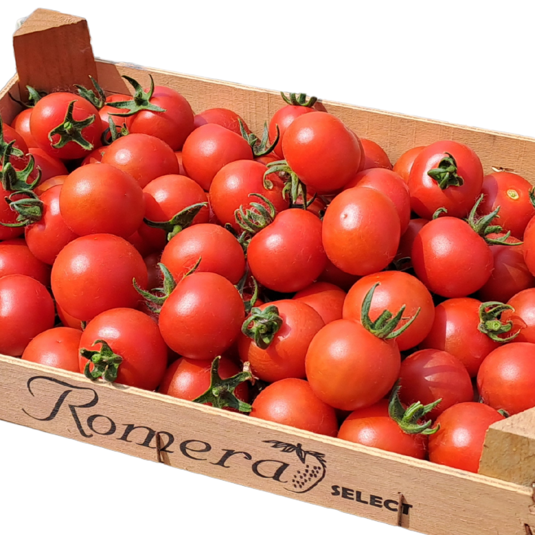 Pomodori ciliegini
