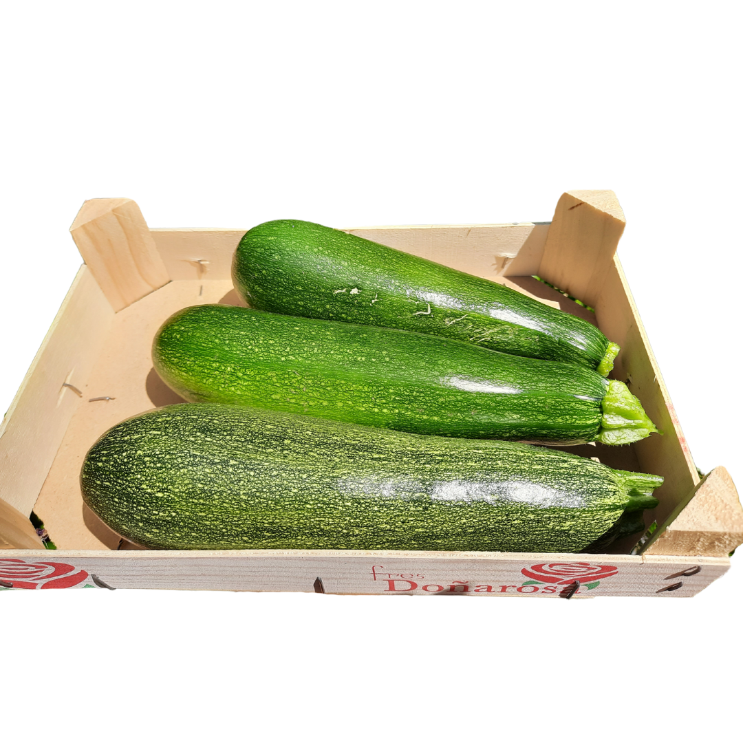 Zucchine grandi da ripieno o griglia
