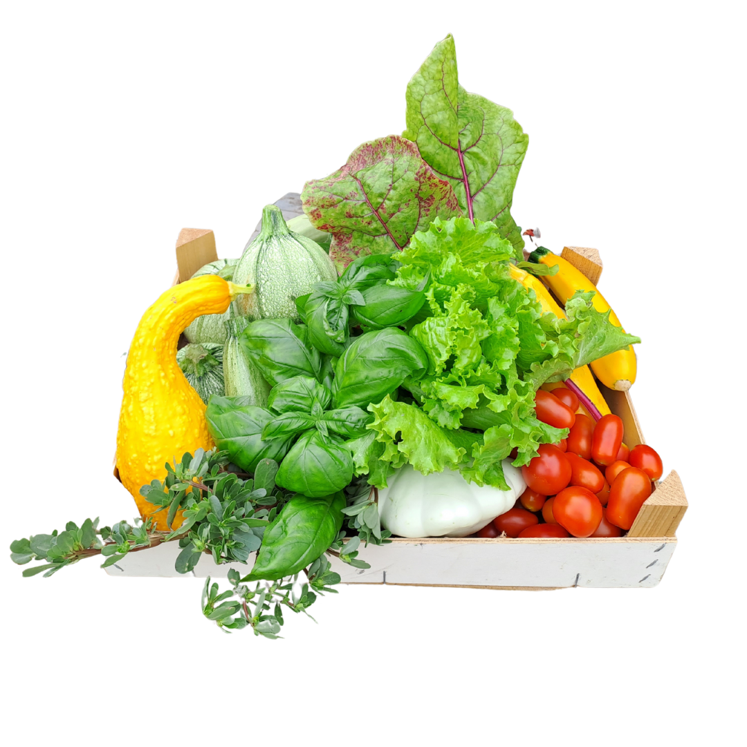 Verdura mista di stagione