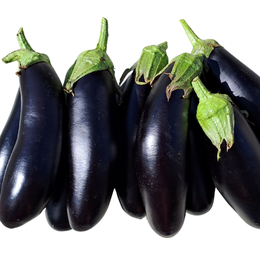 Melanzane allungate