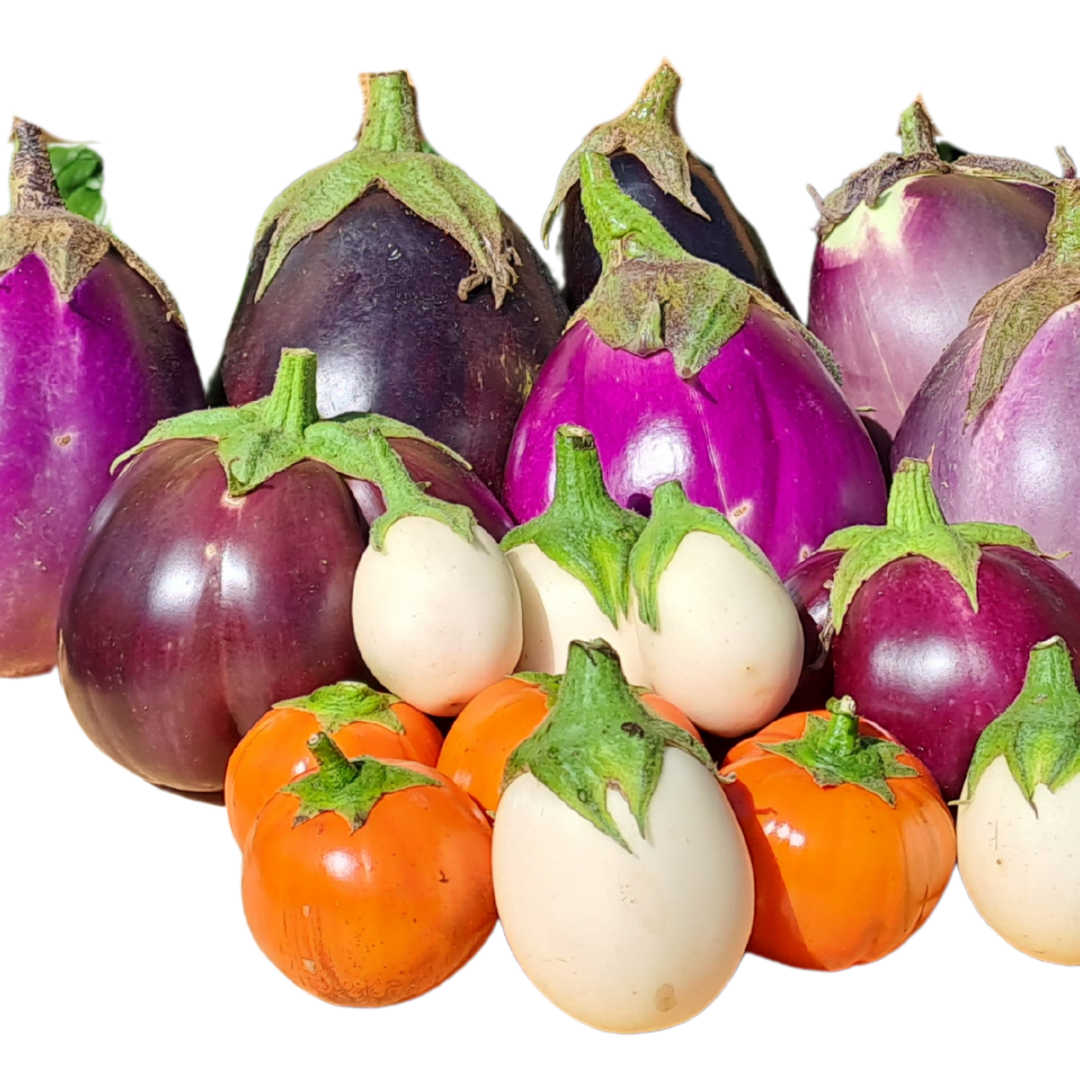 Mix melanzane