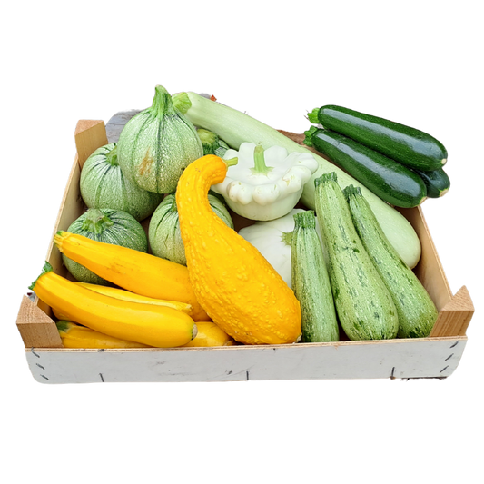 Mix di zucchine