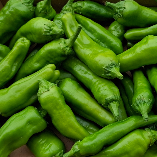 Peperoni friggitelli
