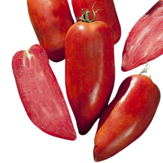 Pomodori tipo San Marzano