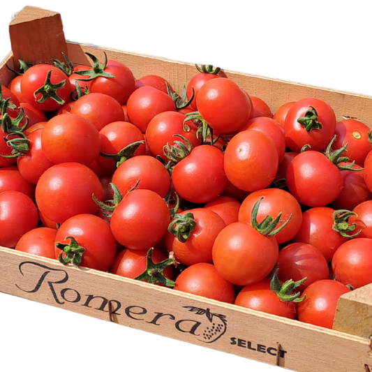 Pomodori ciliegini