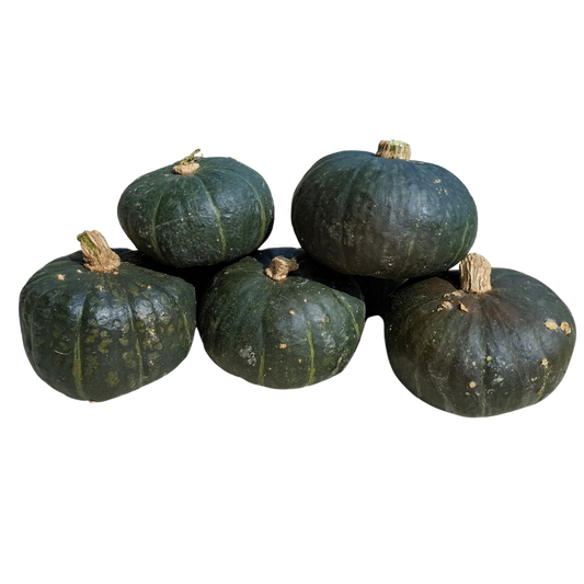 Zucca delica