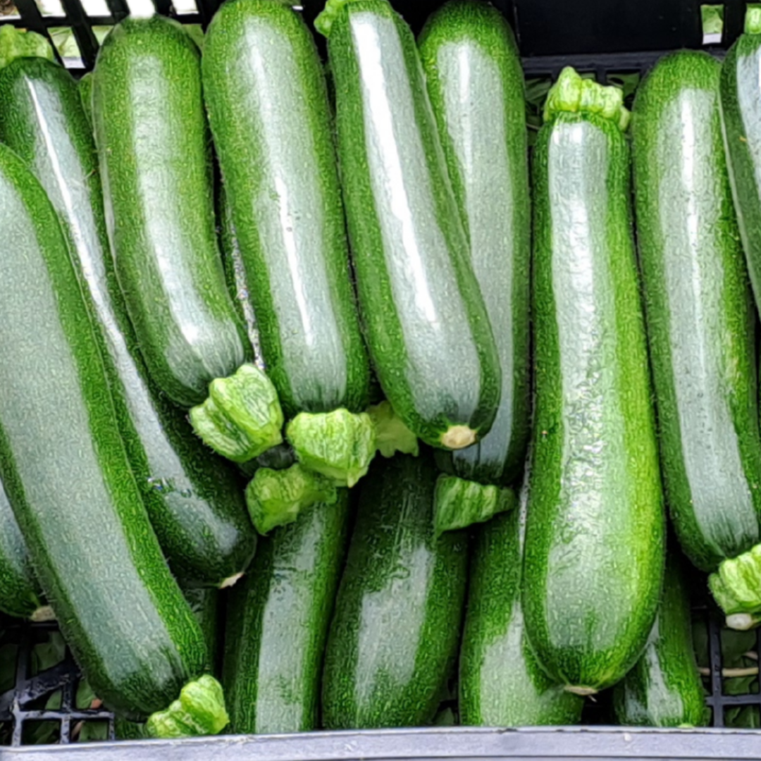 Zucchine scure