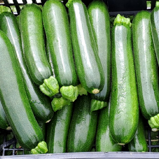 Zucchine scure