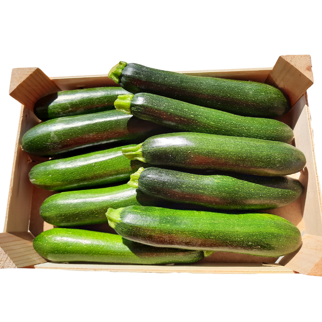 Zucchine scure