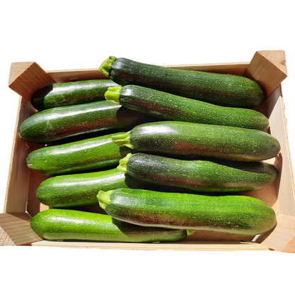 Zucchine scure