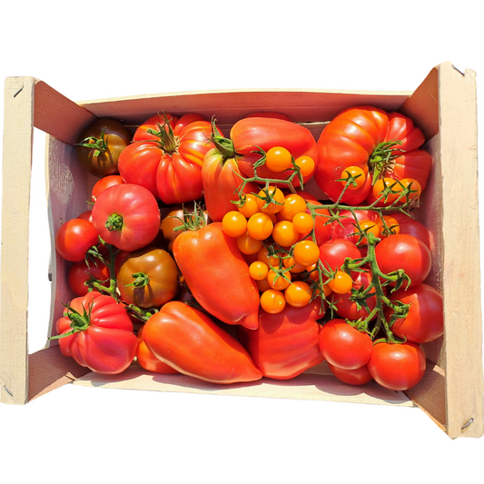 Mix pomodori